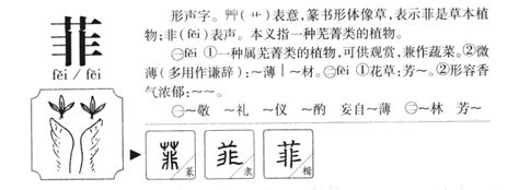 菲字取名